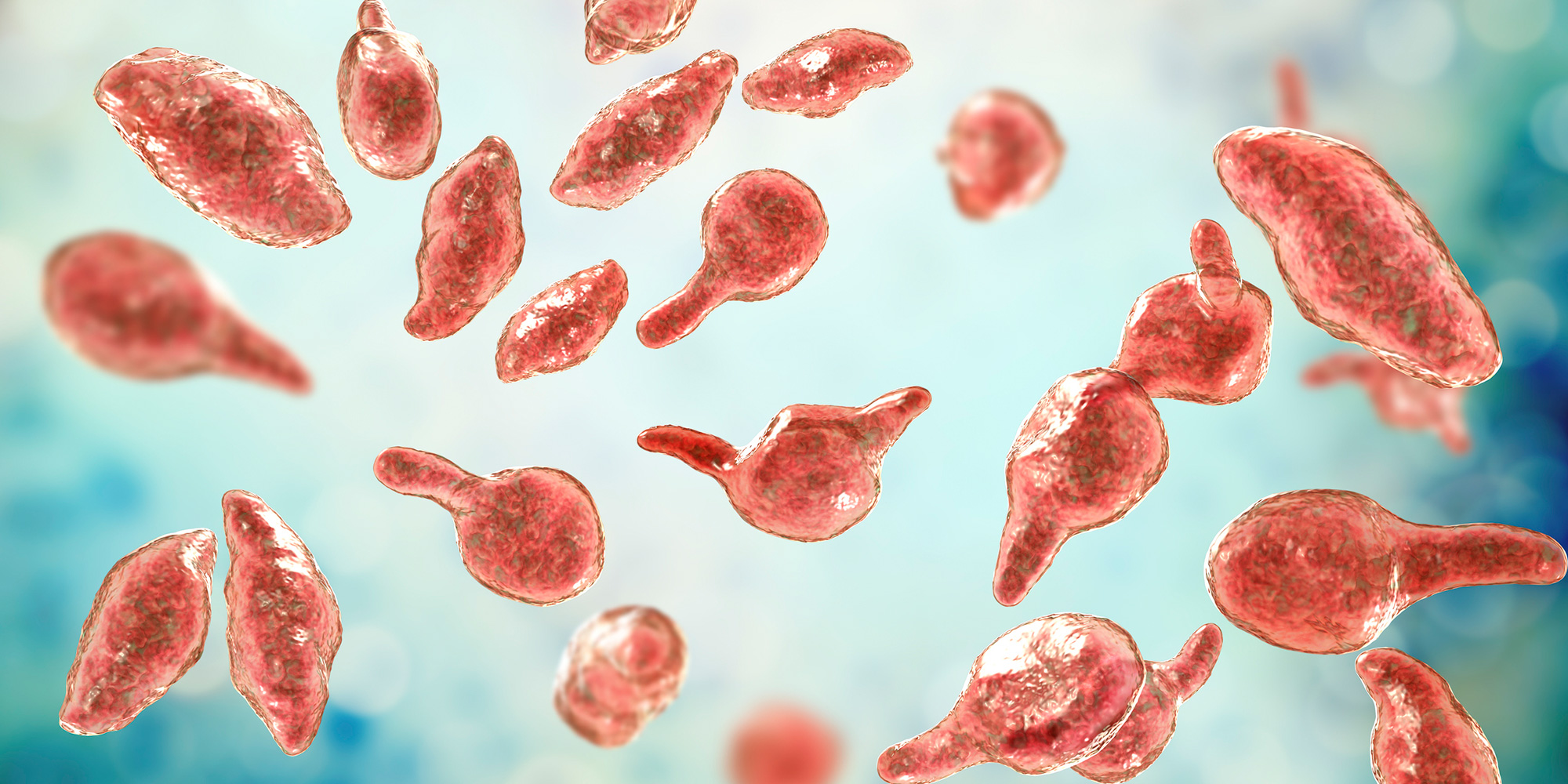 What You Should Know About Mycoplasma Genitalium Lifelabs