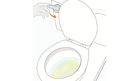 HPV instruction