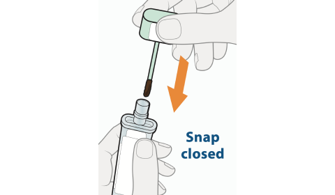 HPV instruction