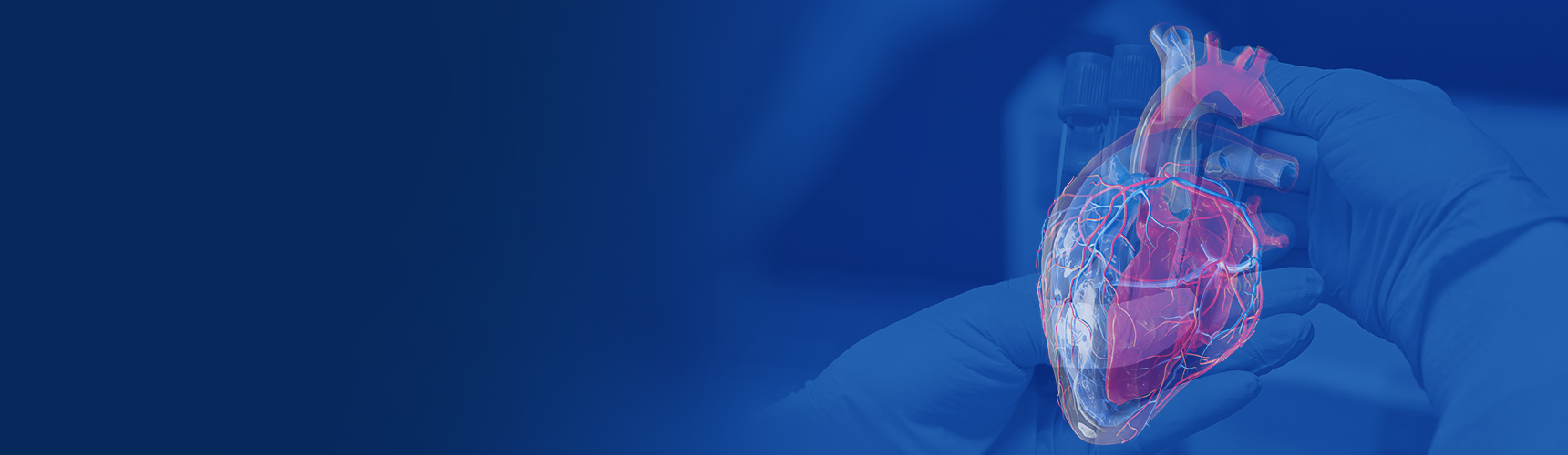 Page Banner