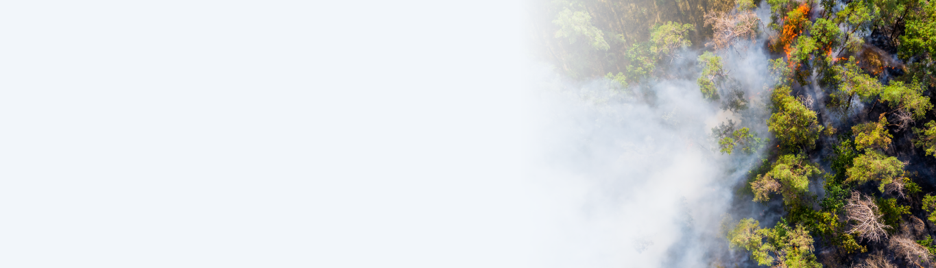 Wildfires News Banner Image