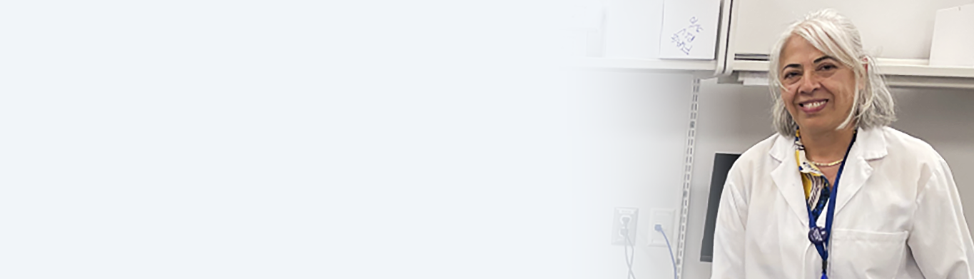 Page Banner