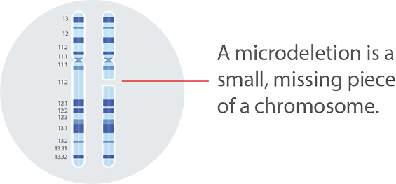 microdeletion icon